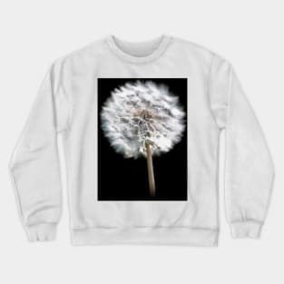 Dandelion Seed Head Crewneck Sweatshirt